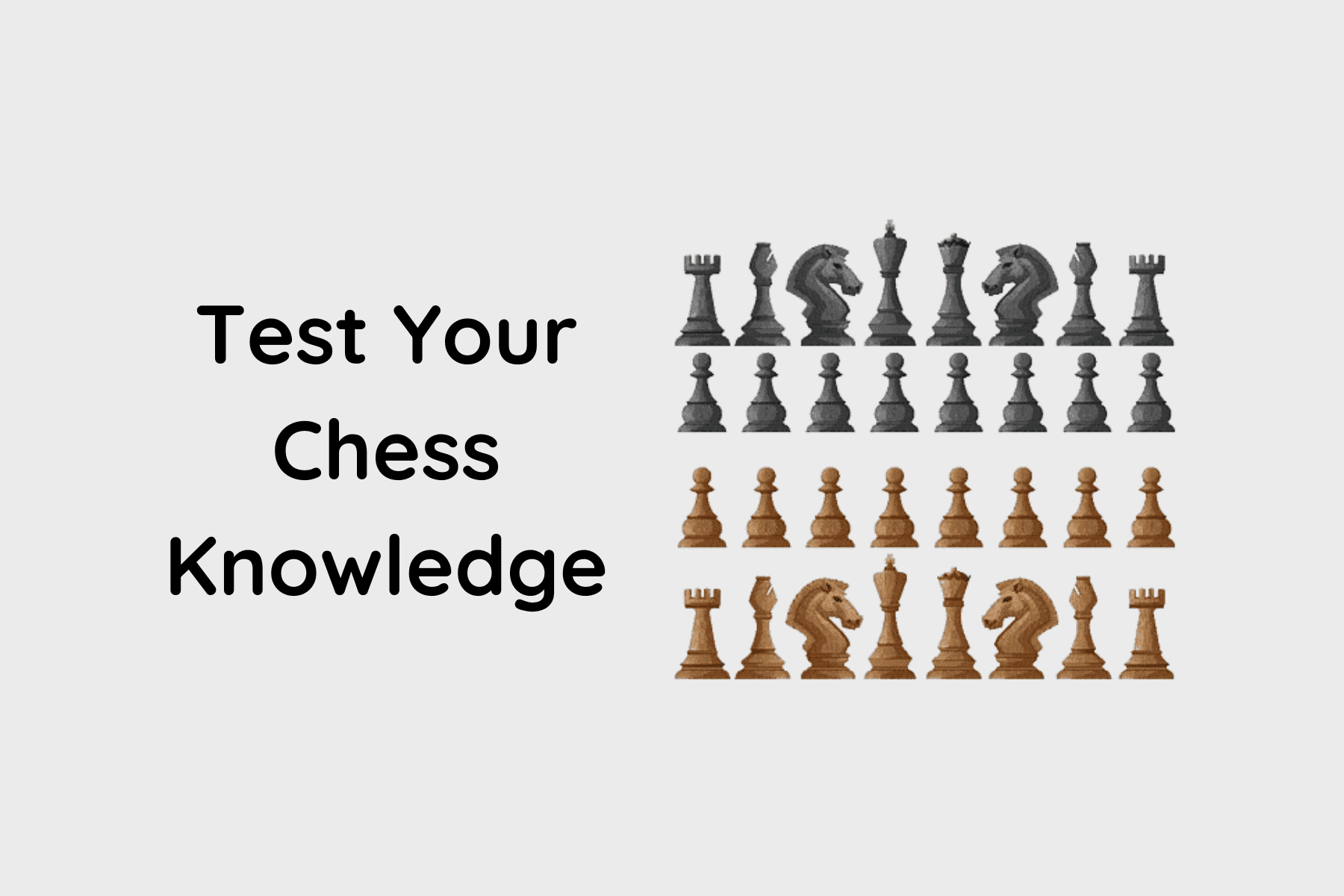 Test Your Chess Knowledge