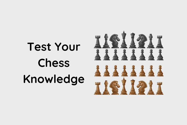 Test Your Chess Knowledge