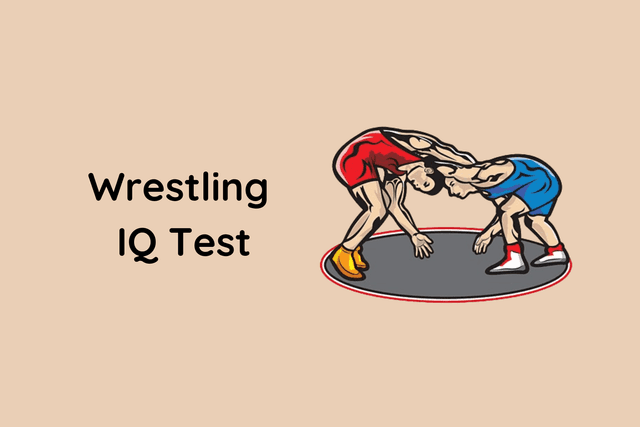 Wrestling IQ Test