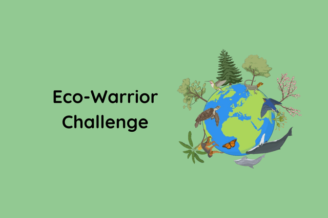 Eco-Warrior Challenge