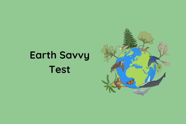Earth Savvy Test