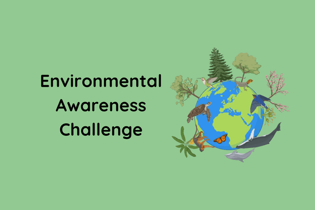 Environmental Awareness Challenge