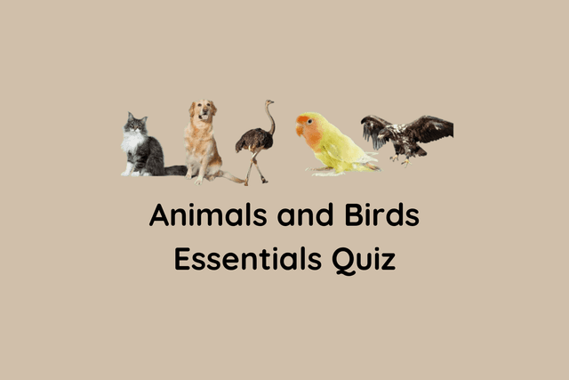 Animals and Birds Essentials Quiz