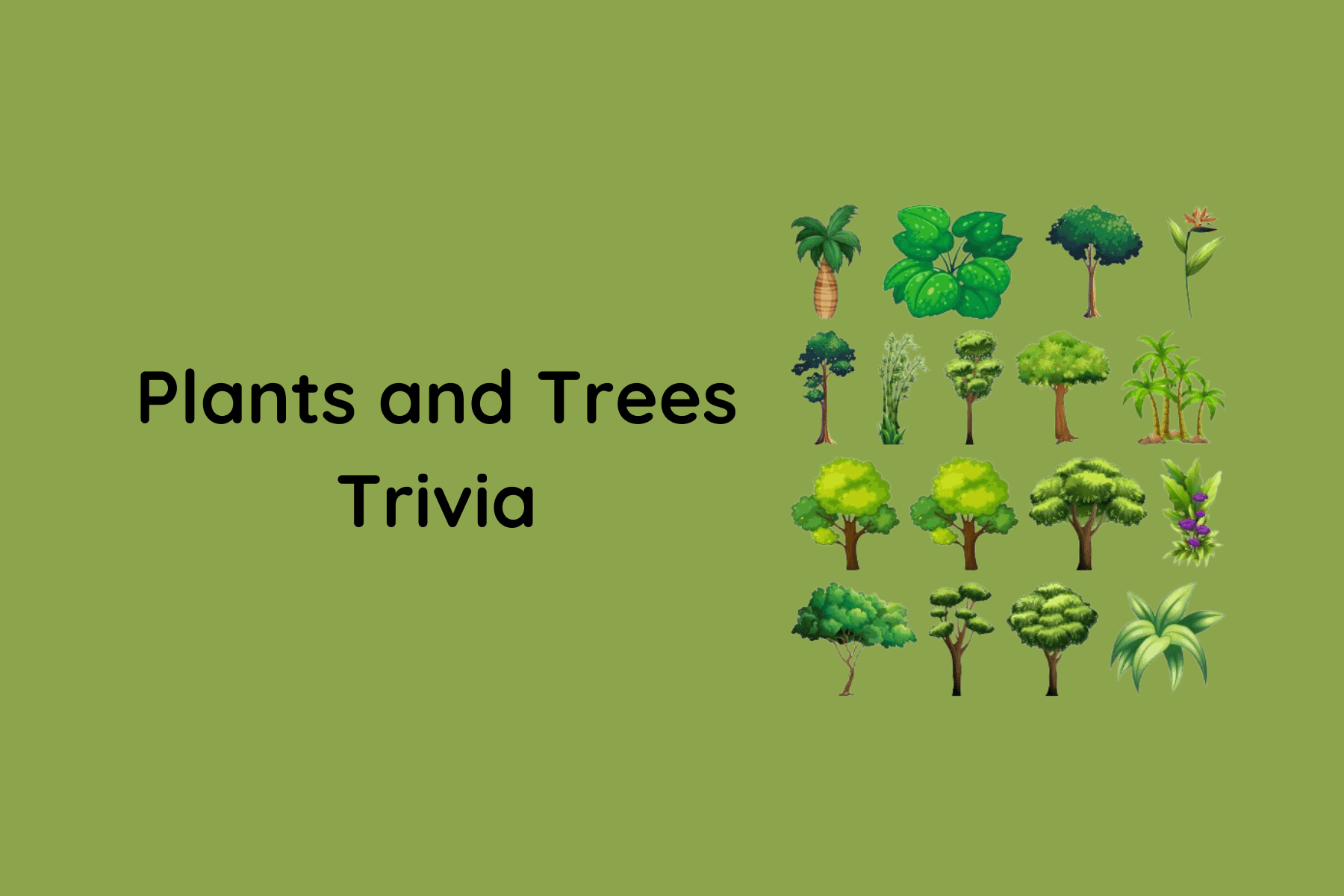 Plants and Trees Trivia