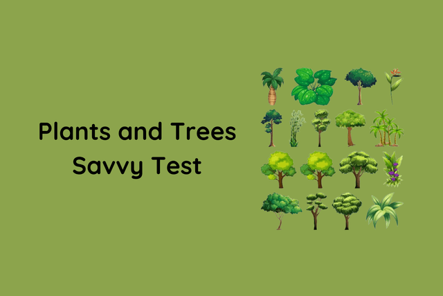 Plants and Trees Savvy Test