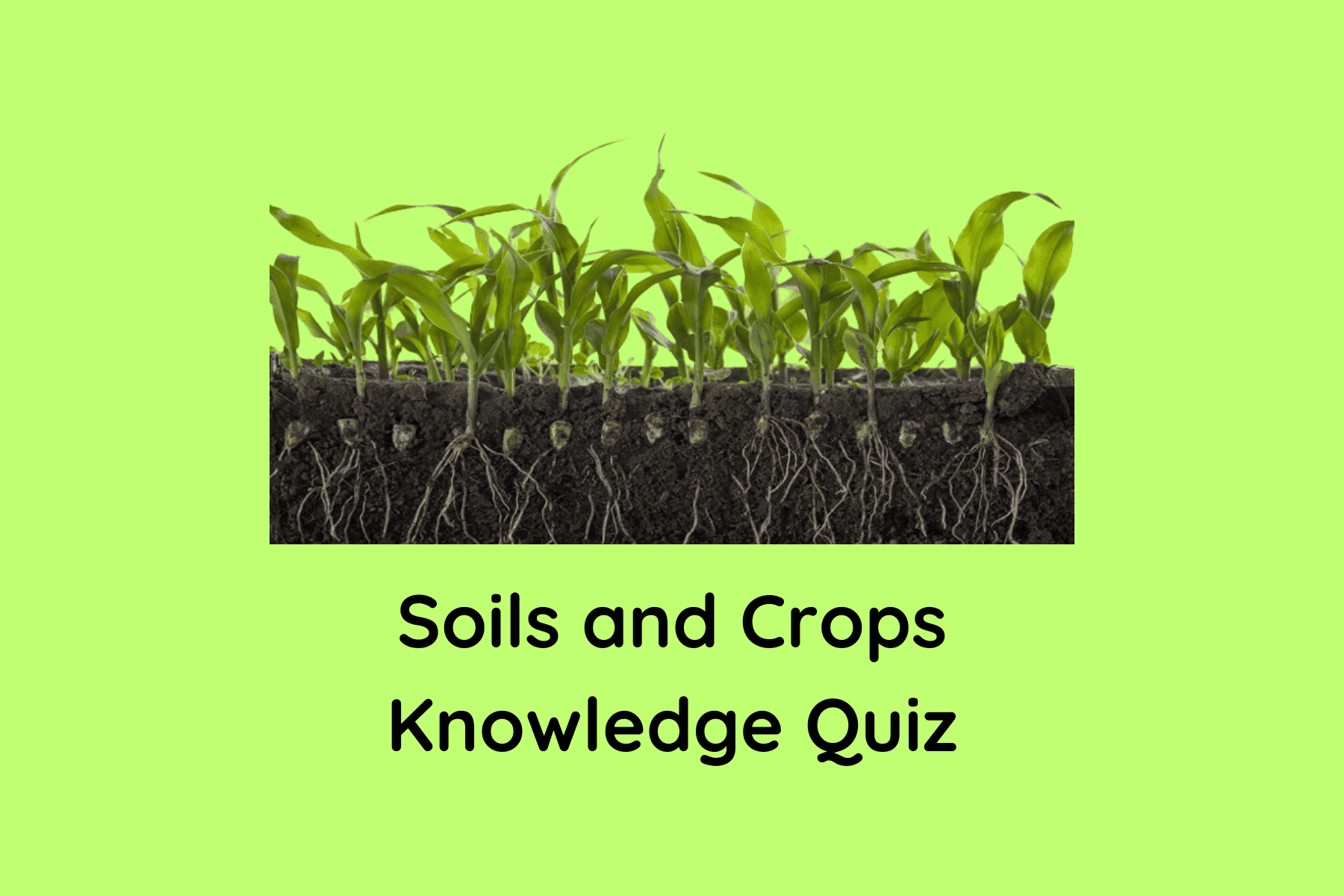 Soils and Crops Knowledge Quiz