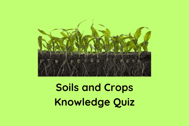 Soils and Crops Knowledge Quiz