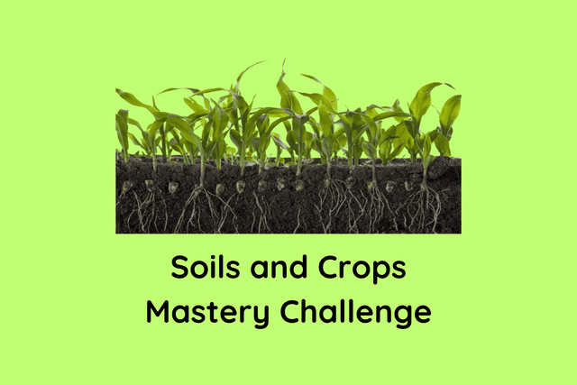 Soils and Crops Mastery Challenge
