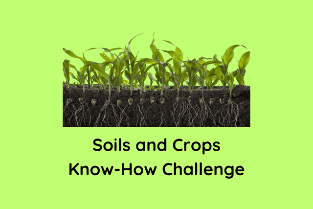 Soils and Crops Know-How Challenge