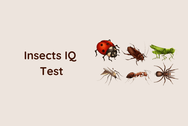 Insects IQ Test