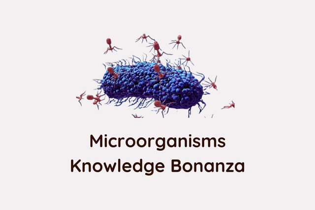 Microorganisms Knowledge Bonanza