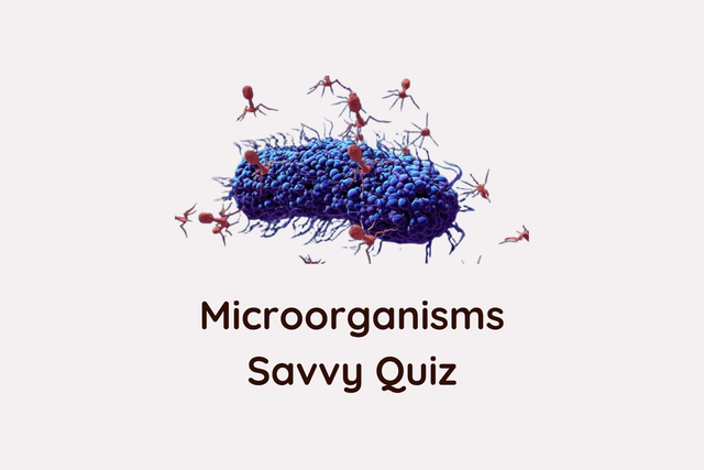 Microorganisms Savvy Quiz