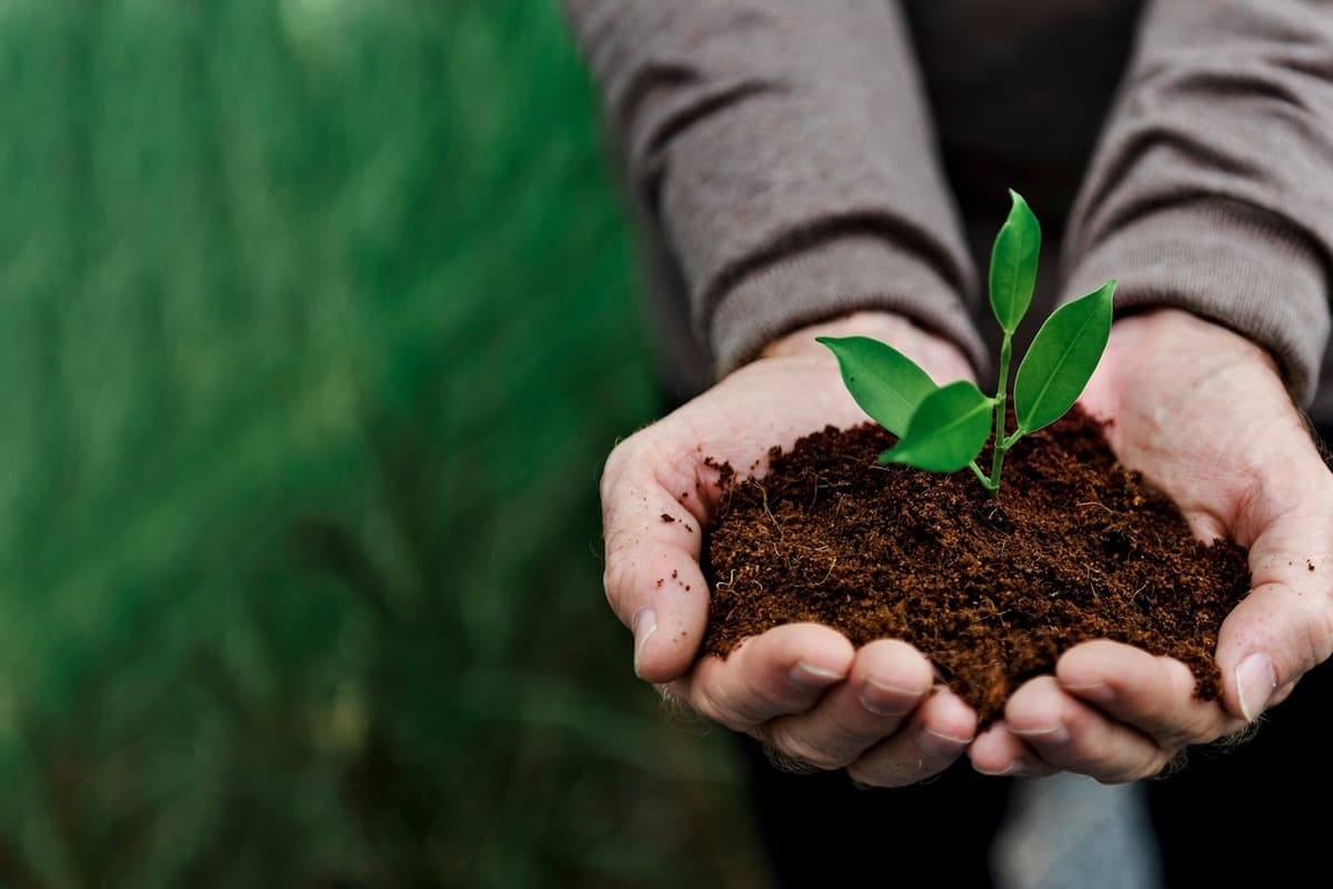 Basic Agriculture Quiz-1