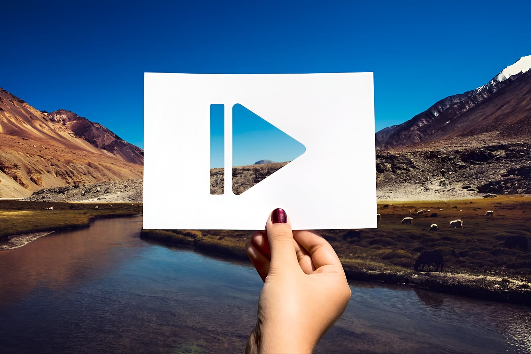 Challenge Yourself with the Multimedia Quiz