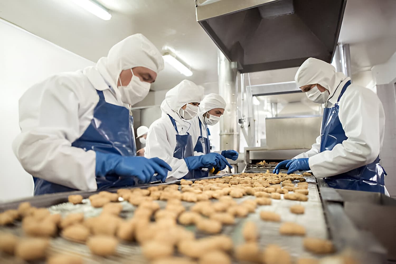 Food Production Quiz-1