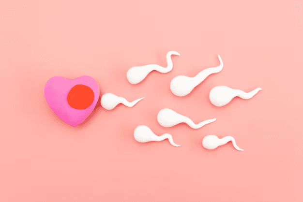Human Reproduction Quiz 4