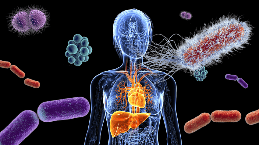 Human Health and Disease Quiz 5