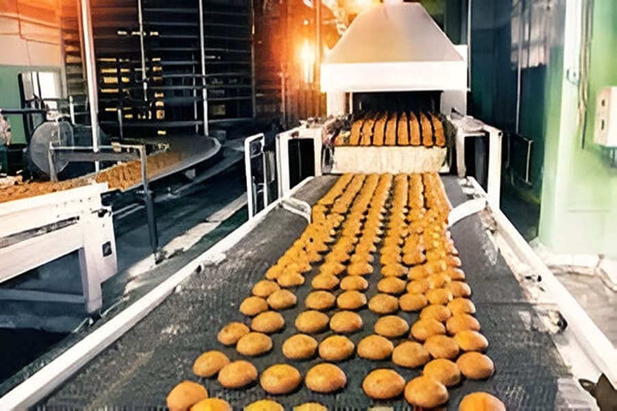Food Production Quiz-12