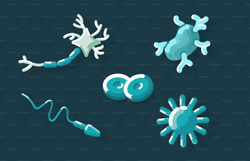 Organisms and Populations Quiz 1