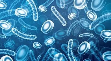 Organisms and Populations Quiz 3