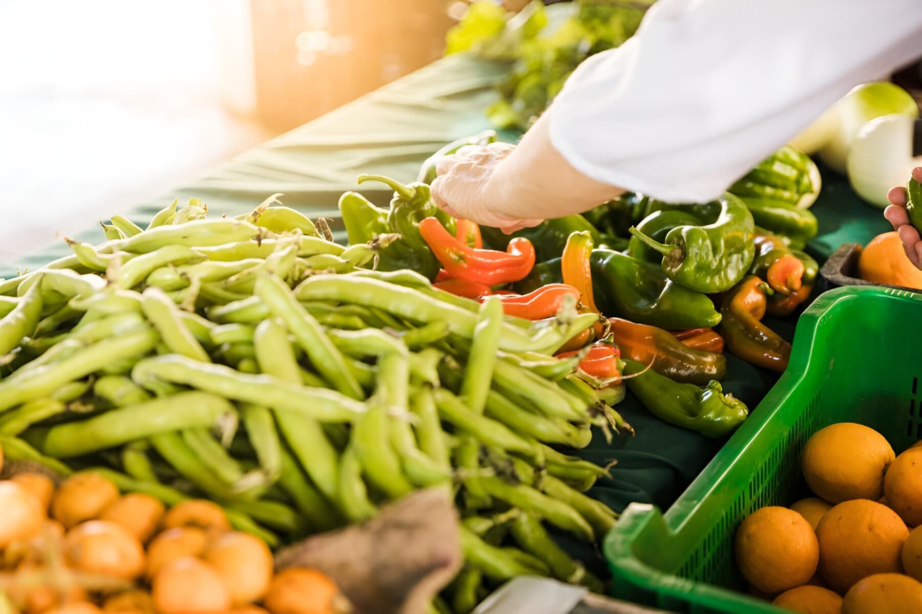 Elevate Your Food Production IQ