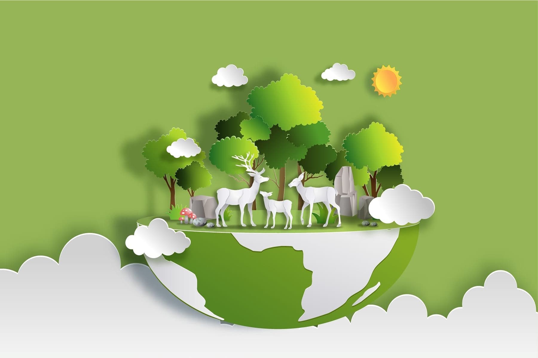The Living World Quiz 1