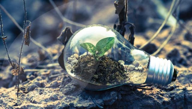 Environmental issues Quiz 2