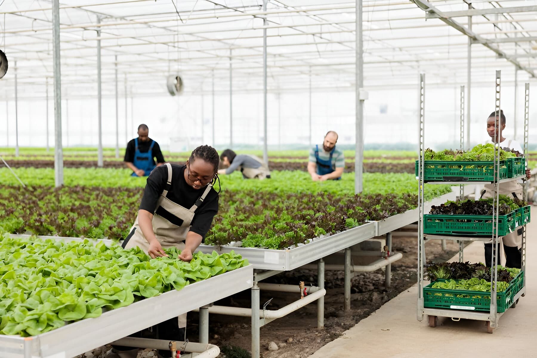Sustainable Food Production Quiz