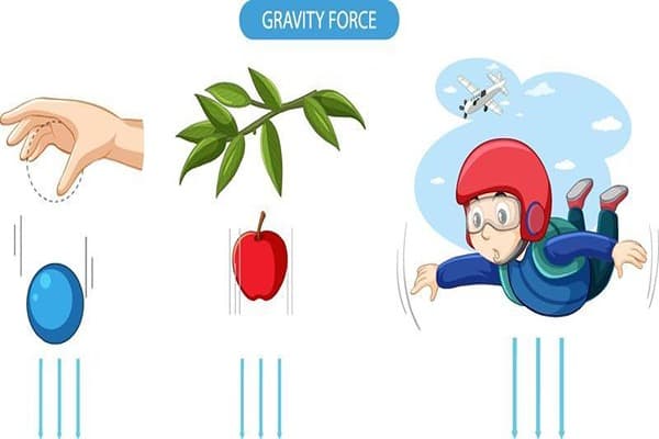 Gravitation Quiz 2