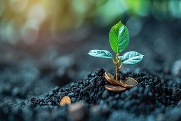 Plant growth and development Quiz 3