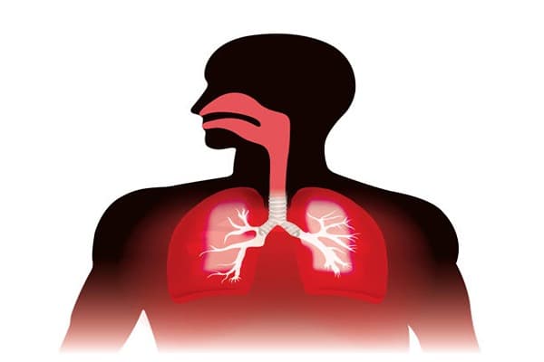 Breathing and exchange of gases Quiz 2