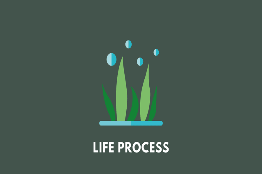 Life Processes Quiz 1