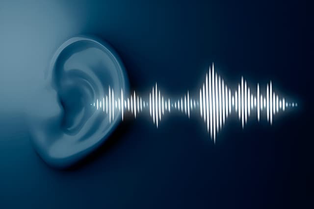 Sound Quiz 1