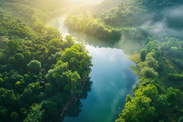 Natural Resources Quiz 1