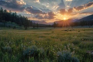 Our Environment Quiz 2