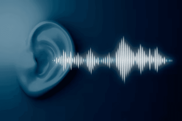 Signal and Sound Showdown