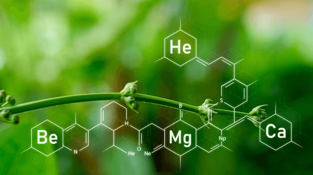 Organic Chemistry Quiz 1