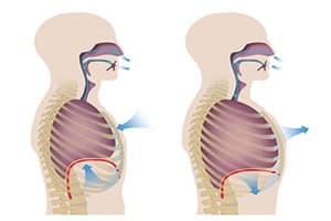 Respiration Quiz 7