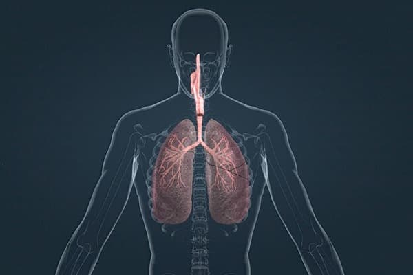 Respiration Quiz 8