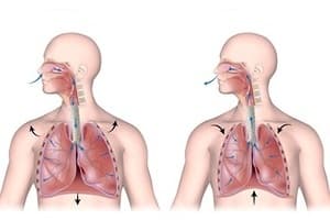 Respiration Quiz 6
