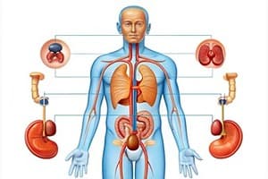 Excretion Quiz 4
