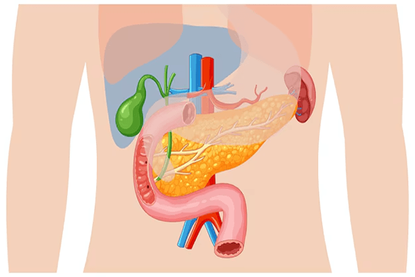 Excretion Quiz 6