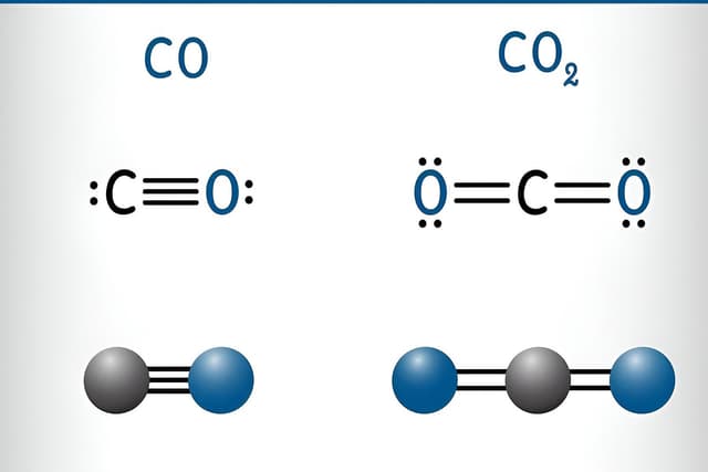 Carbon and its Compounds Quiz 1