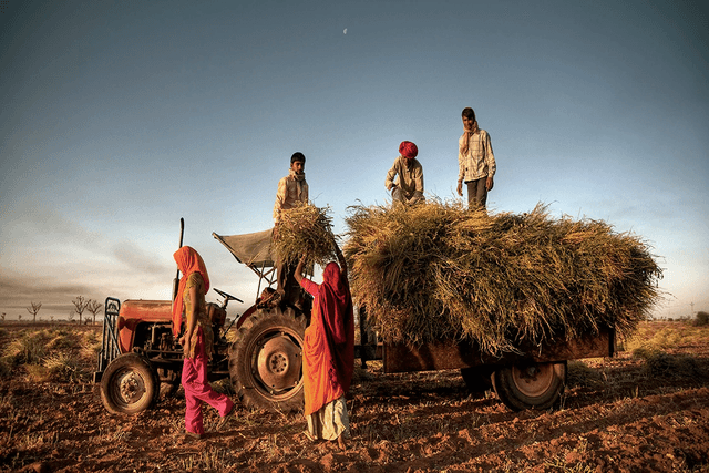A Village Economy Quiz 1