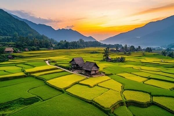 A Village Economy Quiz 3