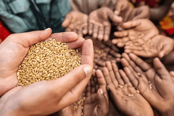 Food Security Quiz 1
