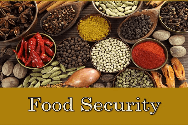 Food Security Quiz 4