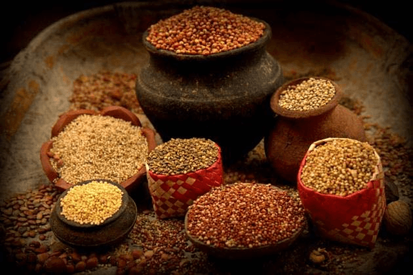 Food Security Quiz 5