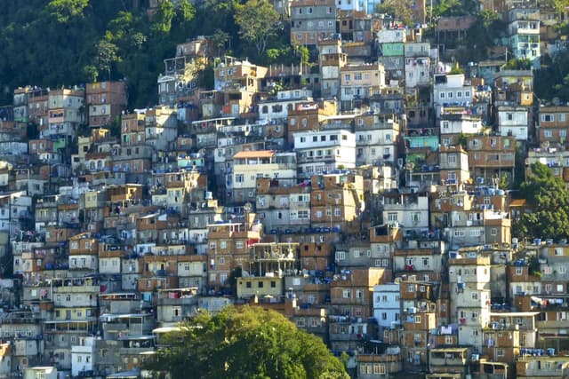 People and Settlement Quiz 4