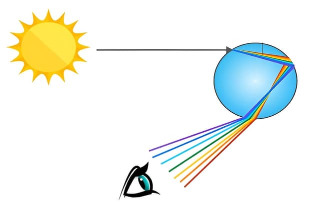 Reflection of Light at Curved Surfaces Quiz 3